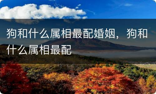狗和什么属相最配婚姻，狗和什么属相最配