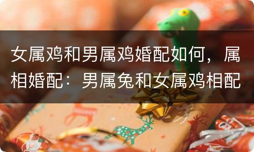 女属鸡和男属鸡婚配如何，属相婚配：男属兔和女属鸡相配吗