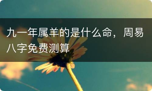 九一年属羊的是什么命，周易八字免费测算