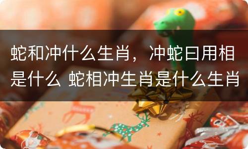 蛇和冲什么生肖，冲蛇曰用相是什么 蛇相冲生肖是什么生肖是什么