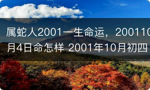 属蛇人2001一生命运，200110月4日命怎样 2001年10月初四属蛇一生如何