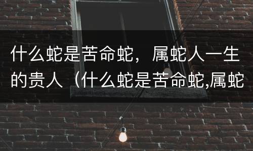 什么蛇是苦命蛇，属蛇人一生的贵人（什么蛇是苦命蛇,属蛇人一生的贵人呢）