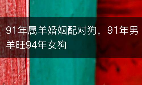 91年属羊婚姻配对狗，91年男羊旺94年女狗
