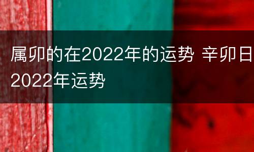 属卯的在2022年的运势 辛卯日2022年运势