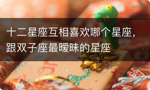 十二星座互相喜欢哪个星座，跟双子座最暧昧的星座