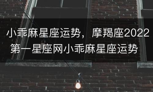 小乖麻星座运势，摩羯座2022 第一星座网小乖麻星座运势