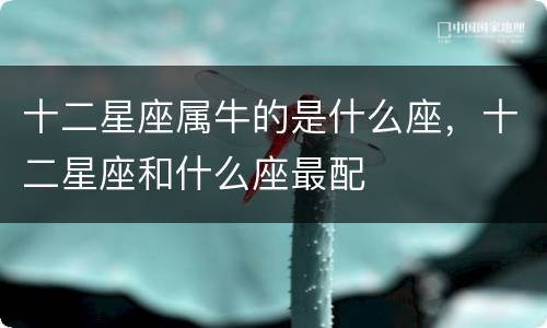 十二星座属牛的是什么座，十二星座和什么座最配