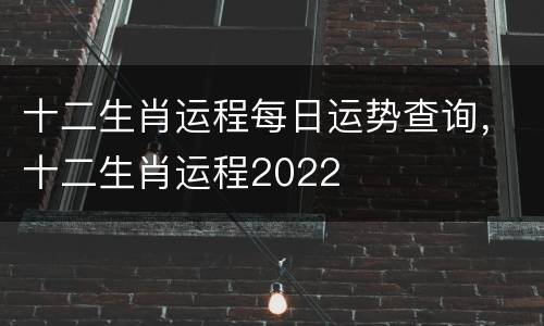 十二生肖运程每日运势查询，十二生肖运程2022