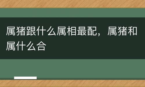 属猪跟什么属相最配，属猪和属什么合