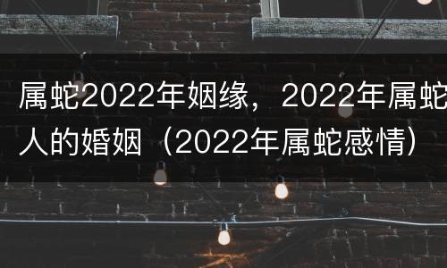 属蛇2022年姻缘，2022年属蛇人的婚姻（2022年属蛇感情）