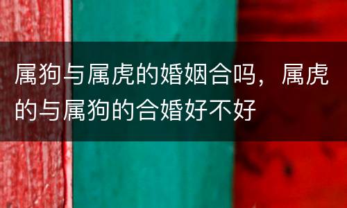 属狗与属虎的婚姻合吗，属虎的与属狗的合婚好不好