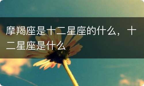 摩羯座是十二星座的什么，十二星座是什么