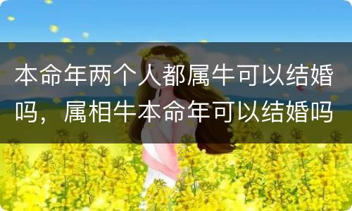 本命年两个人都属牛可以结婚吗，属相牛本命年可以结婚吗