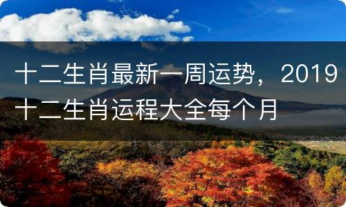 十二生肖最新一周运势，2019十二生肖运程大全每个月