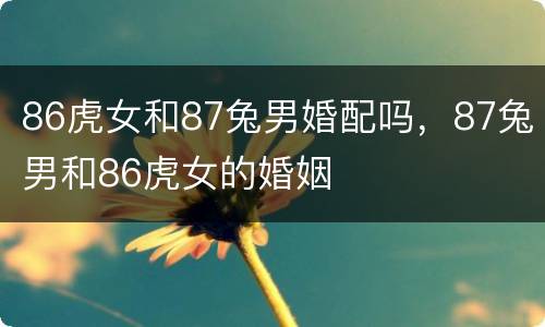 86虎女和87兔男婚配吗，87兔男和86虎女的婚姻