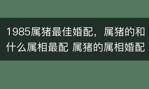 1985属猪最佳婚配，属猪的和什么属相最配 属猪的属相婚配表