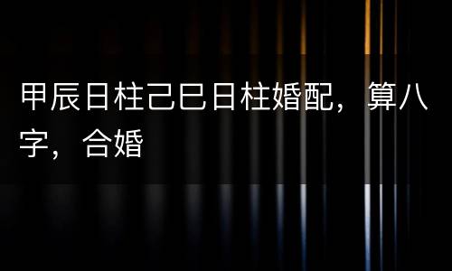 甲辰日柱己巳日柱婚配，算八字，合婚
