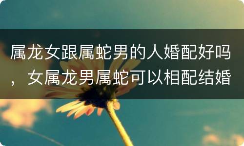 属龙女跟属蛇男的人婚配好吗，女属龙男属蛇可以相配结婚吗