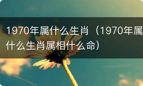 1970年属什么生肖（1970年属什么生肖属相什么命）