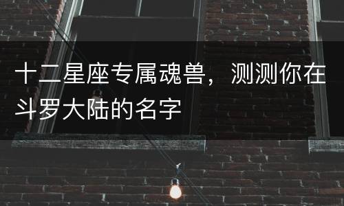 十二星座专属魂兽，测测你在斗罗大陆的名字