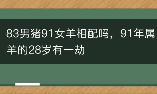 83男猪91女羊相配吗，91年属羊的28岁有一劫
