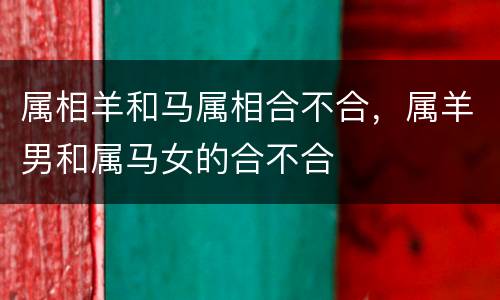 属相羊和马属相合不合，属羊男和属马女的合不合