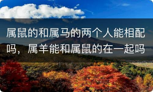 属鼠的和属马的两个人能相配吗，属羊能和属鼠的在一起吗