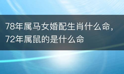 78年属马女婚配生肖什么命，72年属鼠的是什么命