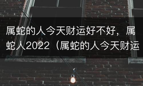 属蛇的人今天财运好不好，属蛇人2022（属蛇的人今天财运好不好属蛇的人）