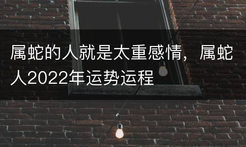 属蛇的人就是太重感情，属蛇人2022年运势运程
