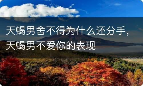 天蝎男舍不得为什么还分手，天蝎男不爱你的表现