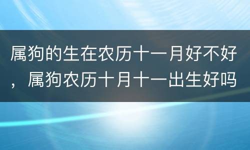 属狗的生在农历十一月好不好，属狗农历十月十一出生好吗