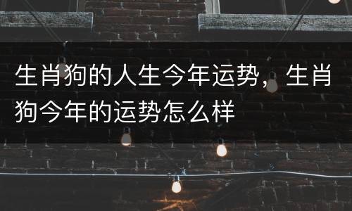 生肖狗的人生今年运势，生肖狗今年的运势怎么样