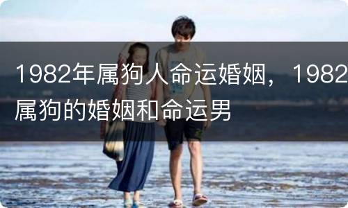 1982年属狗人命运婚姻，1982属狗的婚姻和命运男
