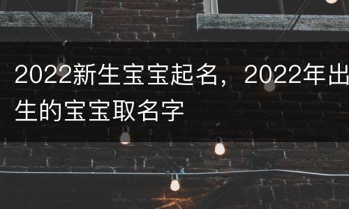 2022新生宝宝起名，2022年出生的宝宝取名字