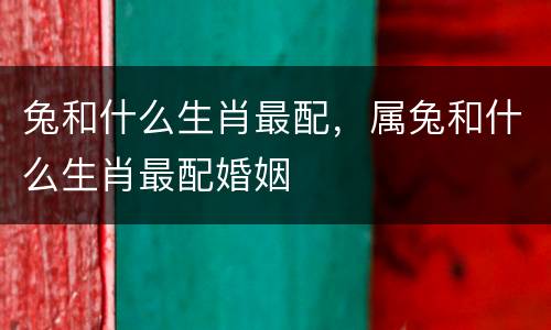 兔和什么生肖最配，属兔和什么生肖最配婚姻