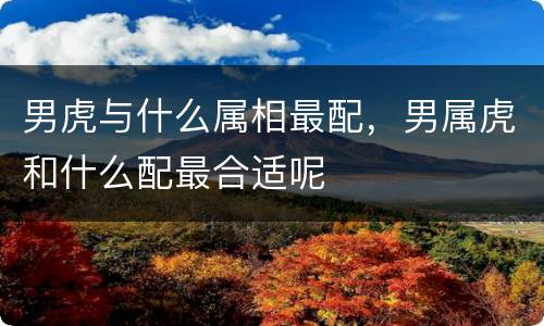 男虎与什么属相最配，男属虎和什么配最合适呢