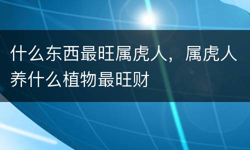 什么东西最旺属虎人，属虎人养什么植物最旺财