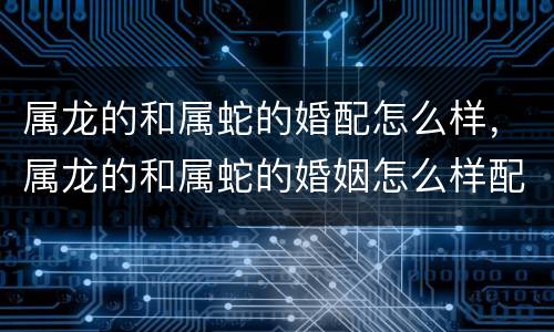 属龙的和属蛇的婚配怎么样，属龙的和属蛇的婚姻怎么样配吗