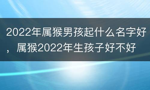 2022年属猴男孩起什么名字好，属猴2022年生孩子好不好
