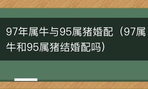 97年属牛与95属猪婚配（97属牛和95属猪结婚配吗）