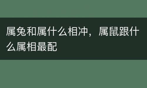 属兔和属什么相冲，属鼠跟什么属相最配