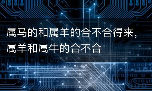 属马的和属羊的合不合得来，属羊和属牛的合不合