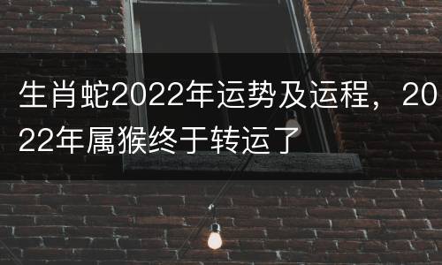 生肖蛇2022年运势及运程，2022年属猴终于转运了