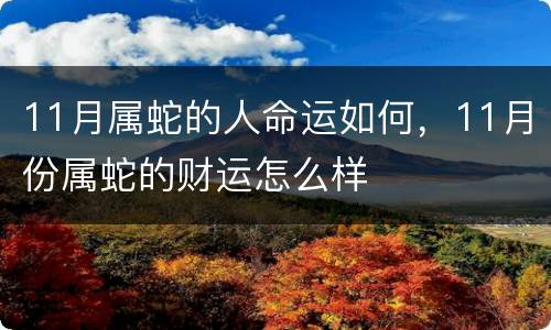 11月属蛇的人命运如何，11月份属蛇的财运怎么样