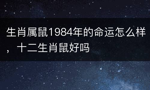 生肖属鼠1984年的命运怎么样，十二生肖鼠好吗