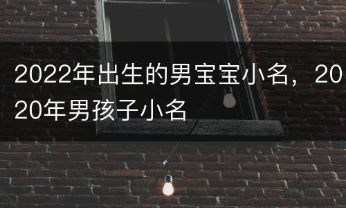 2022年出生的男宝宝小名，2020年男孩子小名
