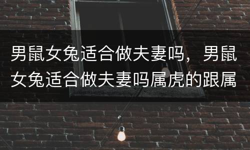 男鼠女兔适合做夫妻吗，男鼠女兔适合做夫妻吗属虎的跟属龙的相配吗