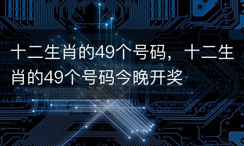 十二生肖的49个号码，十二生肖的49个号码今晚开奖