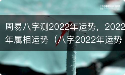 周易八字测2022年运势，2022年属相运势（八字2022年运势及运程）